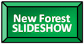 New Forest Slideshow