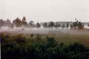 Misty bogland